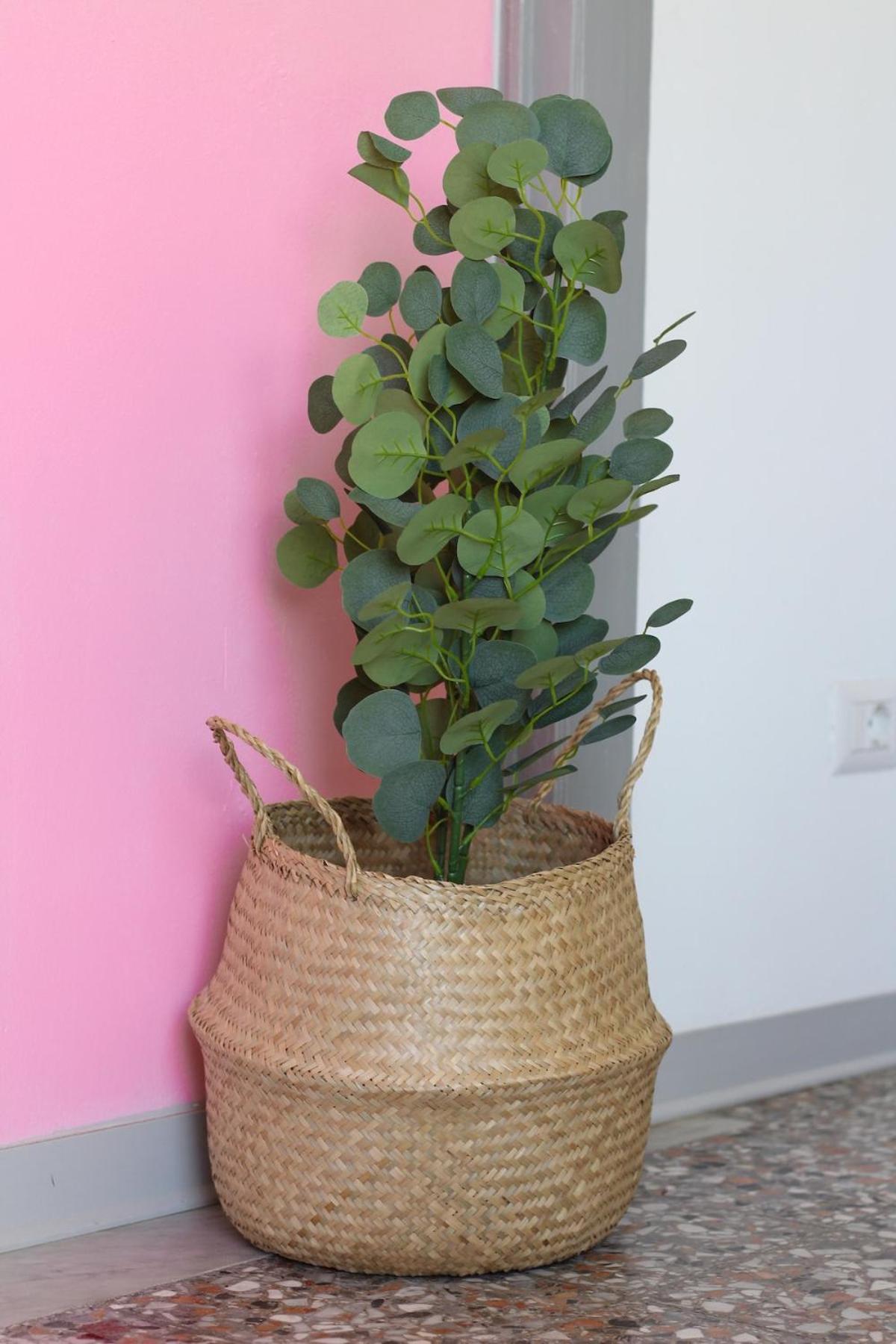 Toctoc - Boho Style Appartamento